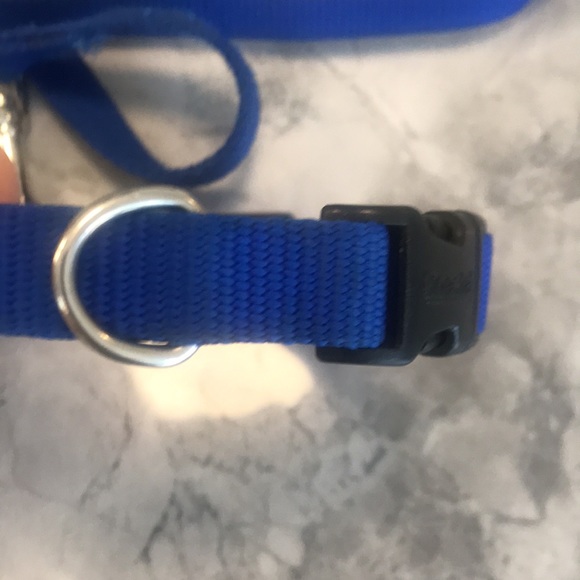 Puppy collar and leash - Picture 2 of 4